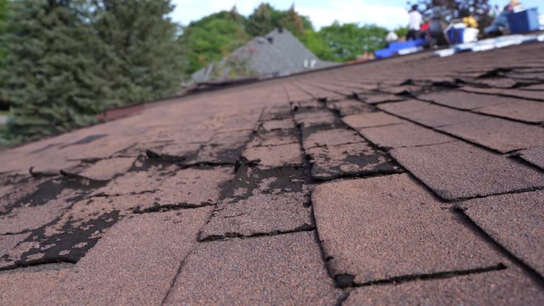 Fast & Reliable Emergency Roof Repairs in Union Mill, VA